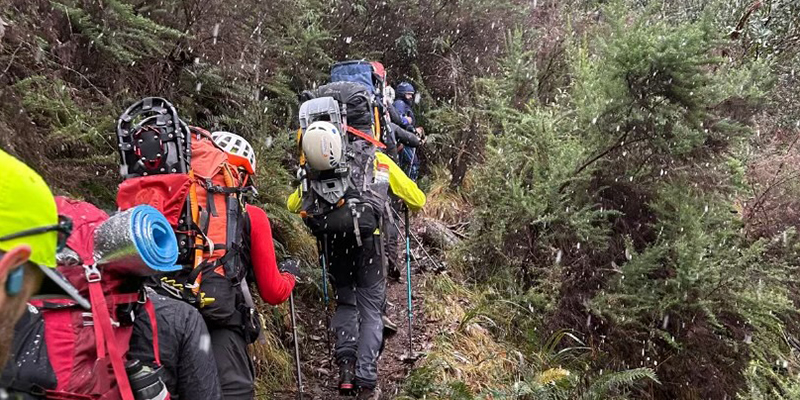 A group of rescuers equipped with rescue gear hiking on a trail through a forest in snowing conditions.