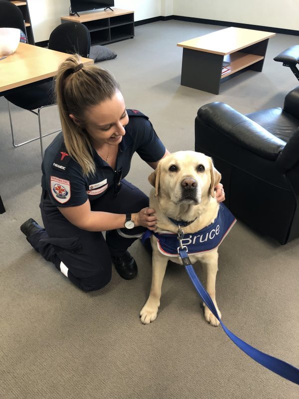 A woman paramedic with a labrador wearing a bandana that says 'Bruce'.