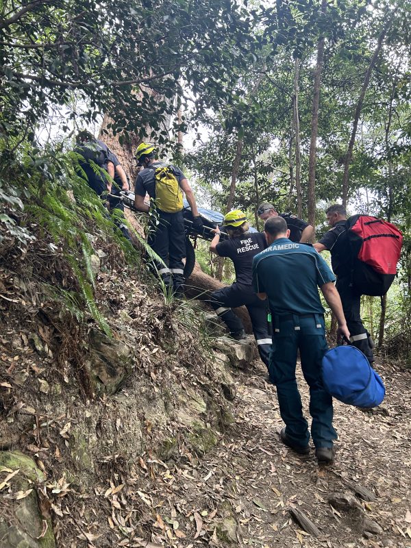 Queensland Fire and Rescue and Queensland Ambulance Service workers transport a stretcher up steps on a trail in bushland.